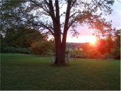 Backyard sunset over the Maumee River