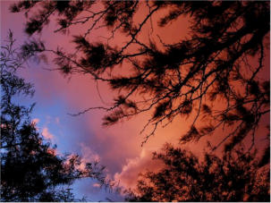 Tucson sky
