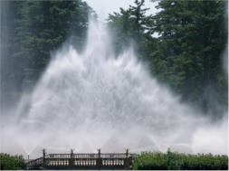 Longwood Gardens, June 2009