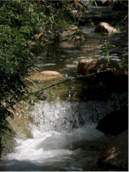 Miraval July 4, 2008