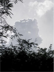 Miraval, September 2006