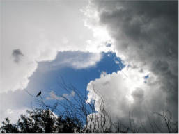 Miraval, September 2006