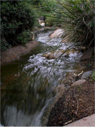 Miraval July 4, 2008